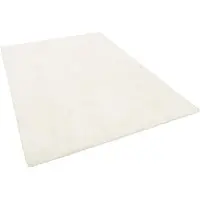 Snapstyle Vloerkleed Luxe Shaggy Fluweel