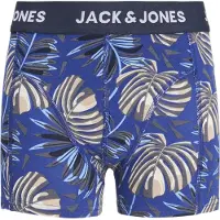Jack & Jones Junior Onderbroek 'JACHENDO' blauw / navy / pastelgroen / wit