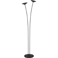 Masterlight 2-lichts vloerlamp Ceppo zwart