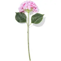 HEMA Kunstbloem hortensia 55cm roze (roze)