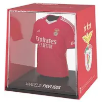 Fancollex MyJersey - Benfica Thuisshirt 2024/25, Vangelis Pavlidis