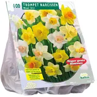 Baltus Narcis Trompet, mix per 100