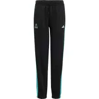 Adidas Sportbroek 'Mercedes-AMG Petronas Formula 1 Team DNA' turquoise / zwart / wit