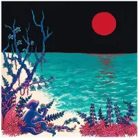 Import THE FIRST GLASS BEACH ALBUM (CLEAR)