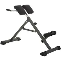 FINNLO Tricon Rugtrainer | In hoogte verstelbaar | Tot 130 kg | Opvouwbaar