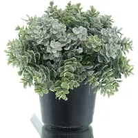 Gasper Kerst Eucalyptusbol besneeuwd in pot Ø 13 cm - Kunstplanten