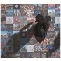 Cd A FOOT IN THE DOOR: THE BEST OF PINK FLOYD