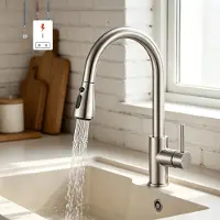 CECIPA MAX Keukenkraan Met Uittrekbare Uitloop - Lagedruk Keukenkranen - Handdouche - 3 Waterafvoermodi – Keukenmengkraan - Geborsteld Zilver