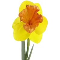 Dpi Narcis Geel & Oranje met Twee Bladeren 40 cm - Kunstbloemen