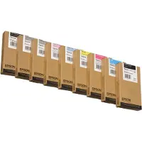 Epson T6031 Inktcartridge Foto-zwart