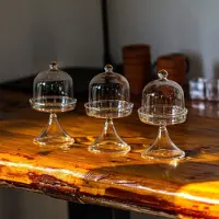 Merkloos Mini glazen stolp met plantenpotje voor decoratie