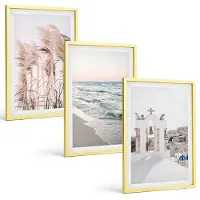 Coloray 3-Delige Schilderij Set - Jungle Met Een Witte Tijger En Een Wilde Waterval - 40 x 40 cm En 40 x 60 cm - Wanddecoratie - Muurdecoratie - Moderne Interieurdecoratie - Stijlvolle Muurdecoratie