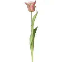 Kaemingk Everlands Papegaaitulp Roze & Groen Ø 6 cm 51 cm - Kunstbloemen