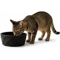 Belviona Kattenvoerbak keramiek voor natvoer, droogvoer & water, 350 ml mat zwart