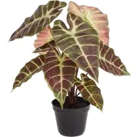 Maxifleur Kunstplanten Alocasia kunstplant 40cm Burgundy in kweekpot