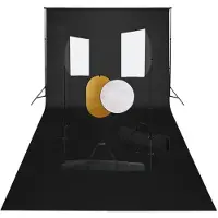 vidaXL Fotostudioset met softboxlampen, achtergrond en reflector