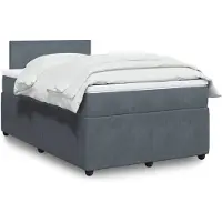 vidaXL Boxspring met matras fluweel donkergrijs 120x190 cm
