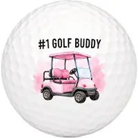 Wilson Golfballen Golf Buddy Roze - Vriendschap Golf Cadeau - 2 stuks - - Bedrukte Golfballen