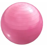 Gorilla Sports Fitnessbal Roze 75 cm incl. pomp