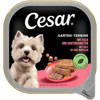 Cesar 10x Hondenvoer Nat Garden Terrine Kalf & Wortel 300 gr