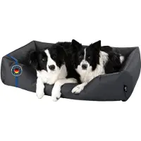 BedDog hondenbed, ZARA hondenmand met wasbare hoes, hondenkorf, hondenbank, GRAFIT (grijs), (XXL), ongeveer 120x85x23 cm
