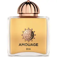 Amouage Collections The Main Collection Eau de Parfum Spray