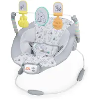 Bright Starts Babywiegje – DISNEY BABY – Winnie de Pooh – Boogjes met afneembaar speelgoed – Verstelbaar voor baby's van 0 tot 6 maanden