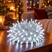 Rosikey 30 meter, 300 LED's, 8 lichtmodi, lichtketting met stroomaansluiting, timerfunctie en geheugenfunctie, LED-lichtketting voor kerst, feestdecoratie, verlichting voor kerstboom, tuinverlichting, wit