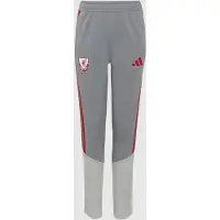 Adidas Sportbroek 'Liverpool FC 26/27 Cup Tiro' grijs / rood / wit