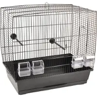 Flamingo Vogelkooi – Selma 2 – parkietenkooi – vogelkooi met lade en accessoires – metaal zwart – 55,5x34x51,5 cm – Europese kwaliteit