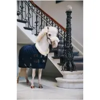 Kentucky Horsewear Horsewear - Showdeken - Navy - 80/130