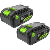Greenworks TwinPack 24V 4Ah oplaadbare batterij met hoge capaciteit en USB-C aansluiting