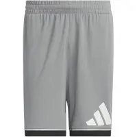 Adidas heren basketball shorts, "Badge of Sport" model, grijs/zwart, maat M, 5 inch