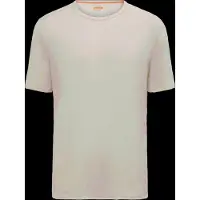 Icebreaker 200 Oasis T-shirt Met Korte Mouwen