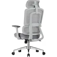 AEA Een grijs kantoorstoel met een ergonomisch ontwerp en een rugleuning van mesh-materiaal