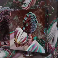 One Little Independent Fossora Coffret Collector