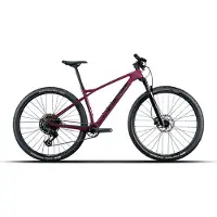 Lapierre Prorace Cf 6.9 29´´ Eagle 70 2026 Mountainbike
