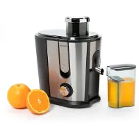 Brabantia BBEK1123, fruitpers 0,35L 500W, zilver