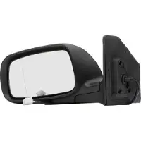 RIDEX 50O0587 Buitenspiegel