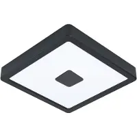 Eglo Buitenwandlamp LED, 17W, model IPHIAS 2, artikelnummer 900283, merk