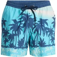 Quiksilver Everyday Printed Volley 15´´ Zwembroek