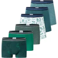 Schiesser Onderbroek ' 95/5 Multi ' gemengde kleuren