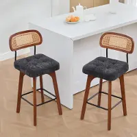 STILVORA barkrukken, set van 2, keukenkrukken met rugleuning, ontbijtkrukken met rieten rugleuning, barkrukken met beklede zitting