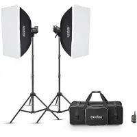 Godox Kit 2 Studio Flash MS300V-F Noir et blanc