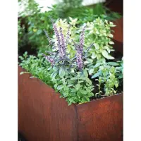 Saremo Edelrost verhoogde plantbak, lengte 140 cm, breedte 80 cm.Verhoogde plantbak: lengte 140 cm, breedte 80 cm, hoogte 90 cm