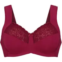 Anita Voorgevormde bh Havanna | Maat: 90G | Kleur: Rood