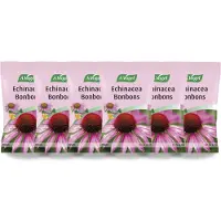 A.Vogel 6x Echinacea Bonbons 75 Gr