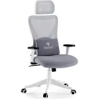 Sense7 TONE: Ergonomische bureaustoel, witte bureaustoel met verstelbare rugleuning, armleuningen en hoofdsteun, draaibaar, geschikt voor thuiswerken, belastbaar tot 130 kg