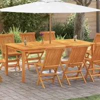 Prolenta Maison Exclusive - Tuintafel 200x100x74 cm, massief acaciahout