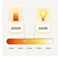 LumenXL Prikkabel set met 2,5W of 4,5W lamp, 2000K, Ø60 mm, amber glas, dimbaar incl. dimmer